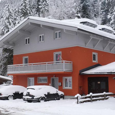 Alpen Appartements Viehhofen - Incl Sommercard Zell Am See フィーホーフェン エクステリア 写真