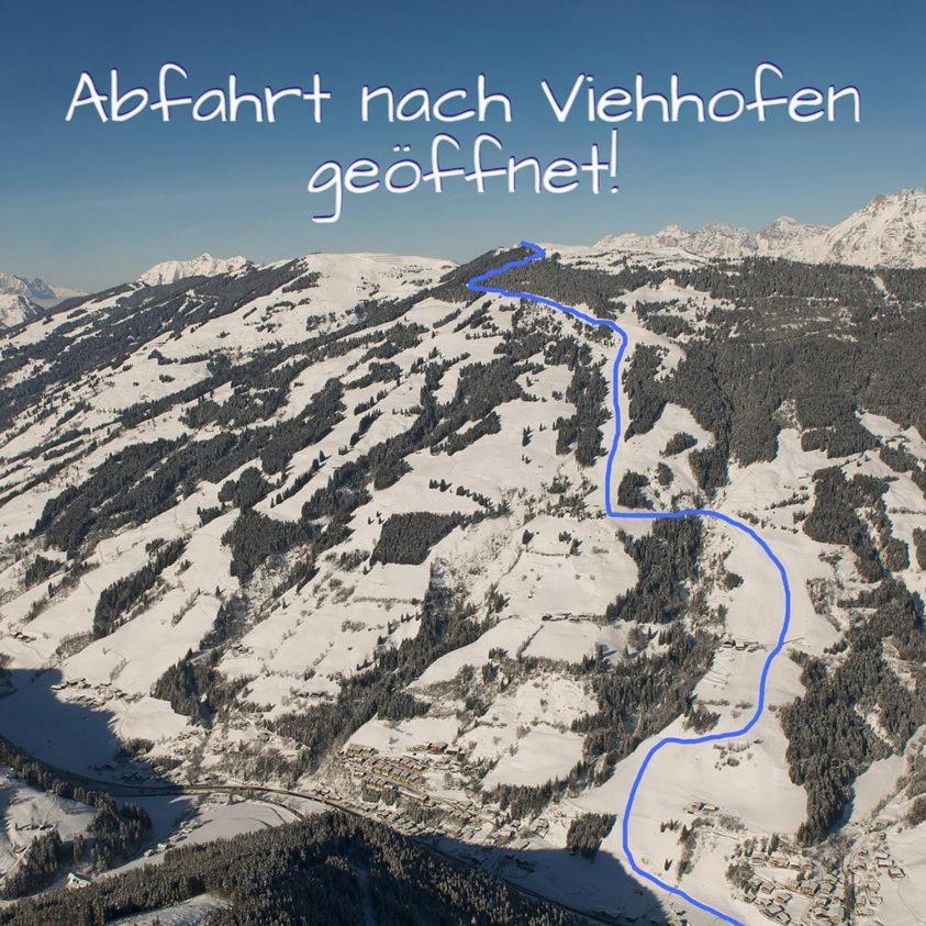 Alpen Appartements Viehhofen - Incl Sommercard Zell Am See フィーホーフェン エクステリア 写真