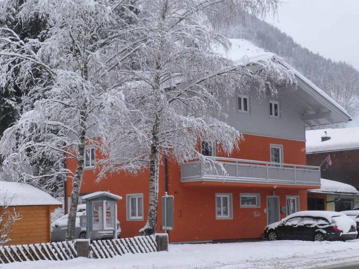 Alpen Appartements Viehhofen - Incl Sommercard Zell Am See フィーホーフェン エクステリア 写真