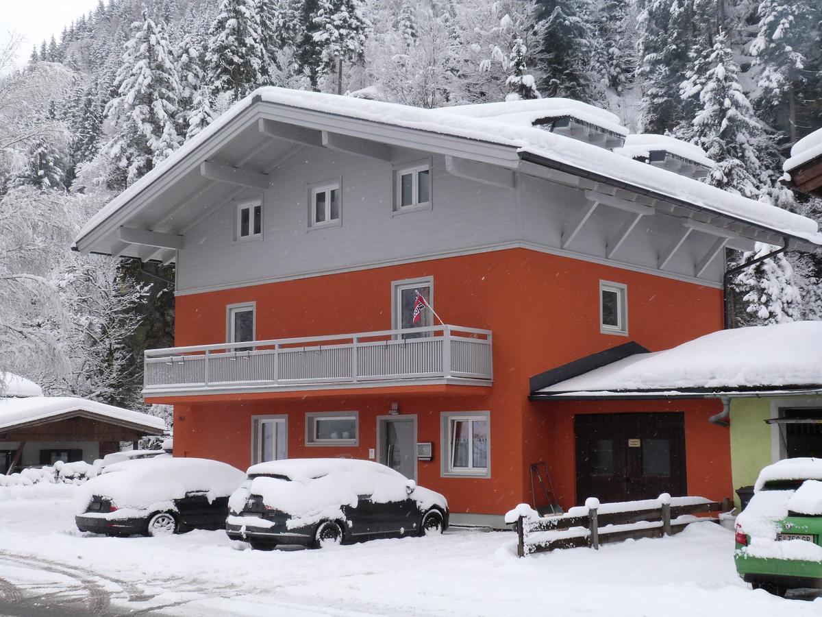 Alpen Appartements Viehhofen - Incl Sommercard Zell Am See フィーホーフェン エクステリア 写真
