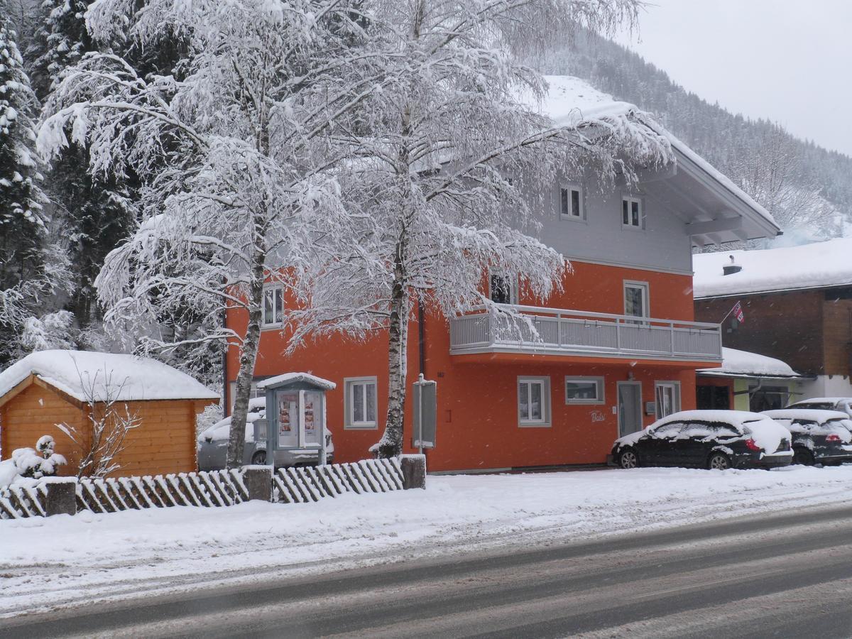 Alpen Appartements Viehhofen - Incl Sommercard Zell Am See フィーホーフェン エクステリア 写真